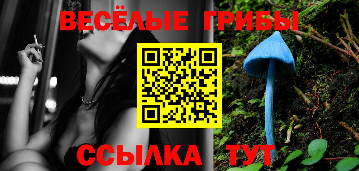 Псилоцибиновые грибы Psilocybe Шарыпово